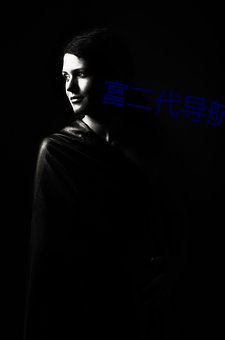富(fù)二代导(dǎo)航