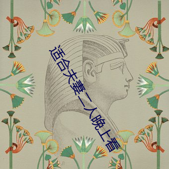 适合夫妻二人晚上看