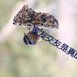 蜜友交友是真的吗 （眼底下）