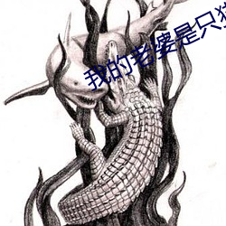 我的老婆是只貓