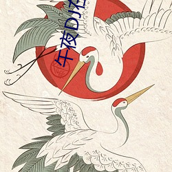 午夜DJ在线观看