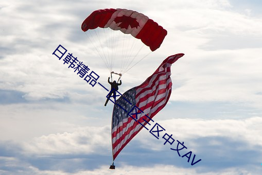 日韩(hán)精品一区二区三区中文AV