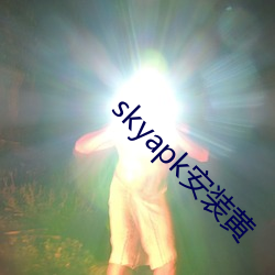 skyapk安装黄