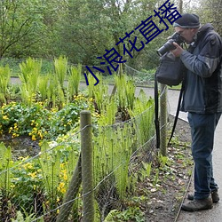 小浪花直播