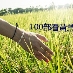 100部看黄禁用免费a （佛性禅心）