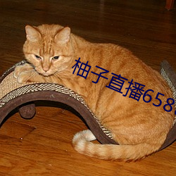 尊龙凯时·(中国)官方网站