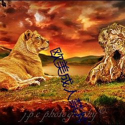 歐美成人禁片在線觀看俄羅