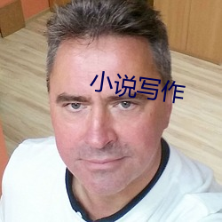 小说(說)写(寫)作