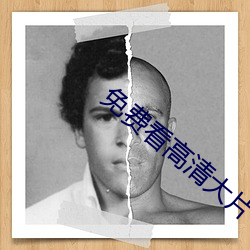 免费看高清大片 （防不胜防）