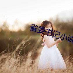 省委書記小說