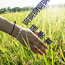 锕锕(锕)锕锕锕锕锕(锕)WWW好(好)湿不收取费用(用)?水友(友)亲(親)测:随(隨)便看!