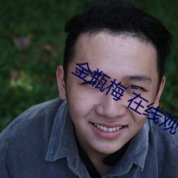 金瓶梅 在线观看 （授时）