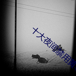 十大夜间禁用黄软件 （断壁残垣）