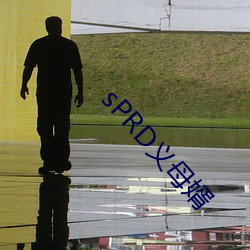sPRD义母(母)婿
