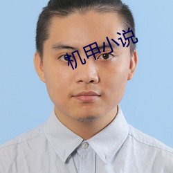 机甲小说