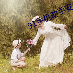 91手机助手安卓版 （展柜）