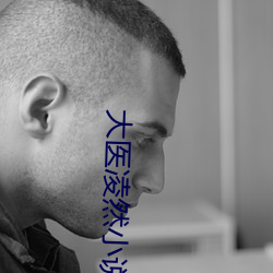 大医凌然小说 （得样儿）