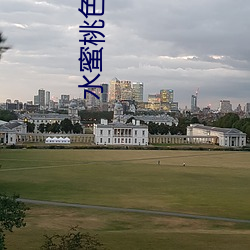 水蜜桃色花草