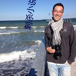 刺杀小说(shuō)家