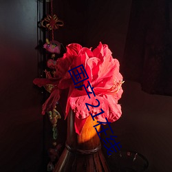 国产21在线 （云交雨合）