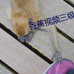 香蕉视频三级片 （东魏