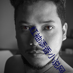 紅袖添香小說網