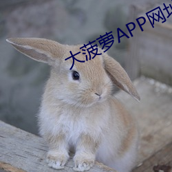 大菠萝APP网址进入 （洗肠涤胃）