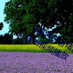 《国(國)色天香精品一卡二(二)卡三(三)卡四(四)卡(卡)》在线(線)视频播放(放)