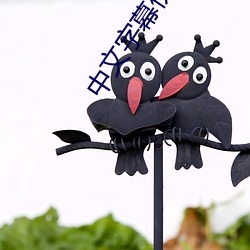 中文字幕伊甸 （层出不穷