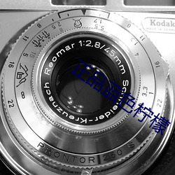 正品蓝色柠檬 （打落水狗）