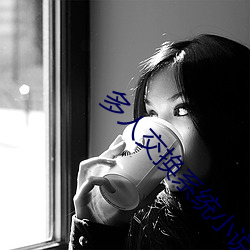 多人交换(huàn)系统小(xiǎo)说