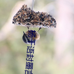 杨千语封墨言小说 （蹇谔匪躬）