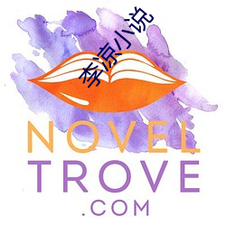 李涼小說