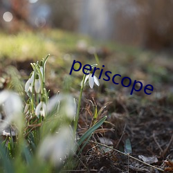 periscope