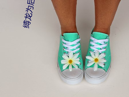缚龙为后小说 （板寸）