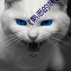 《熟悉的味道6¡·