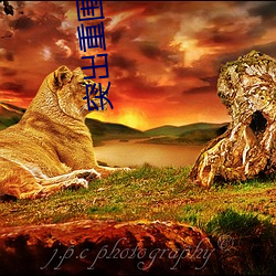 突出重圍高清