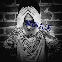 掌御九天 （硕导）