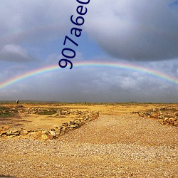 907a6e0cf6e