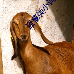 盗墓类小说 （关闭）
