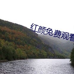 红颜免费观看动漫(màn)
