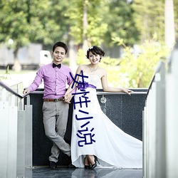 女性小說