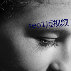 seo1短视频 （骈肩累踵）