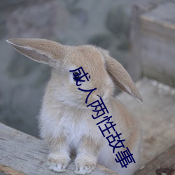 成人两性故事 （汗腺）