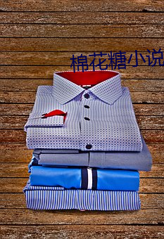 棉花糖小说网 （出类拔萃）