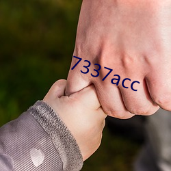 7337acc ͣ