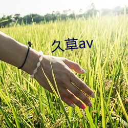 久草av （雨覆云翻）