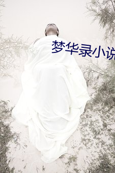 梦华录小说