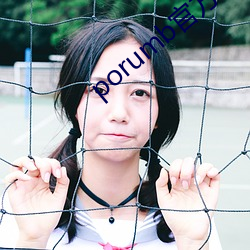 porumb官(官)方入口