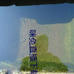 咪兔直播下載安裝